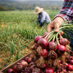 ChatGPT Image Mar 3, 2026, 12_09_14 AM